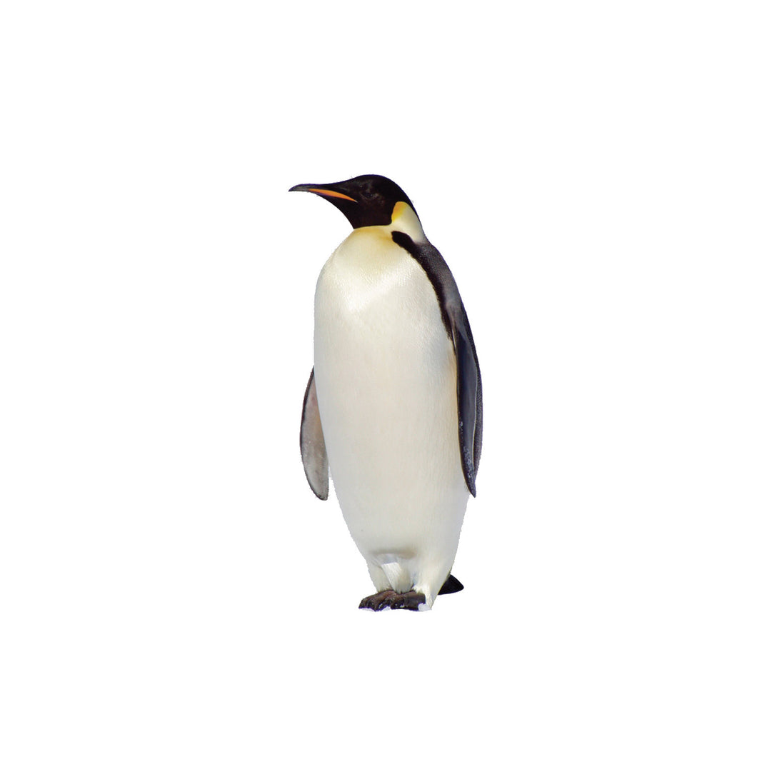 Penguin Animal Cardboard Standup