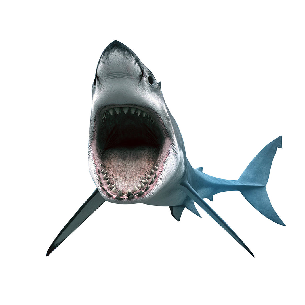 Giant Shark Decal Sticker 24.5x19x1
