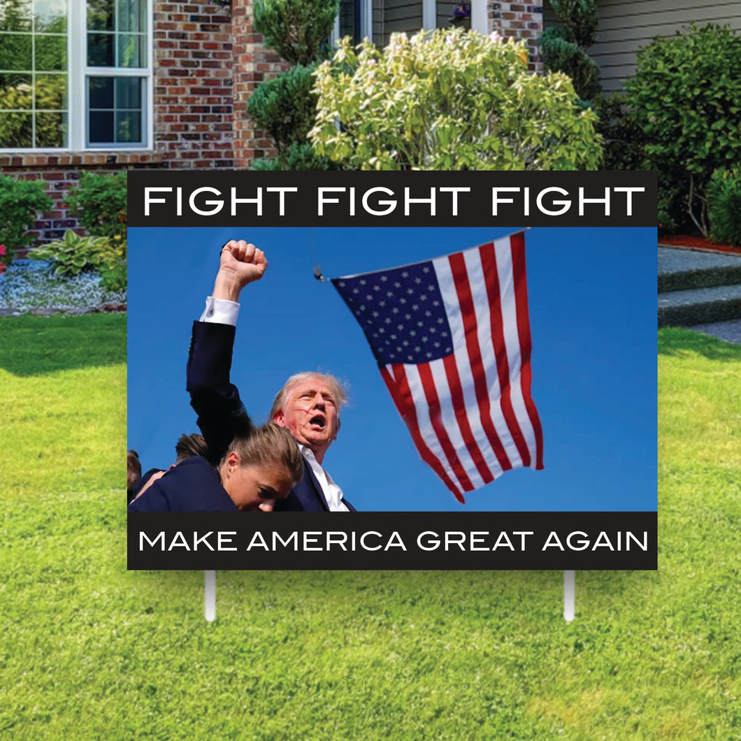 trump fight 16x12