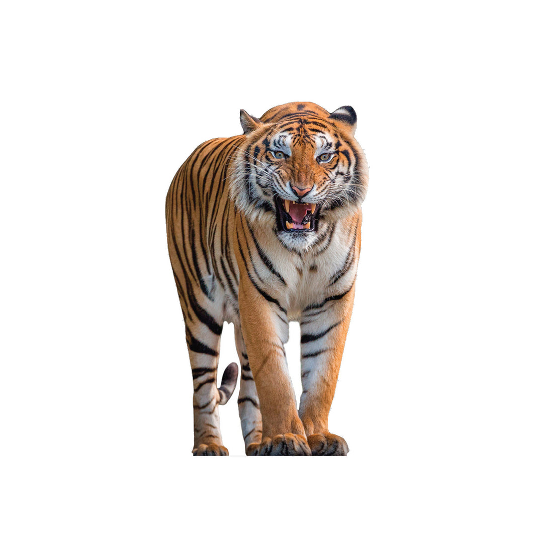  Tiger Animal Cardboard standup