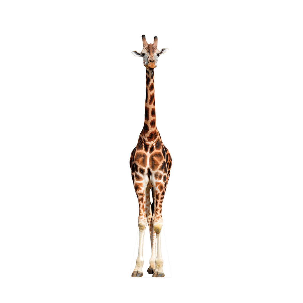 Giraffe Animal Cardboard standup