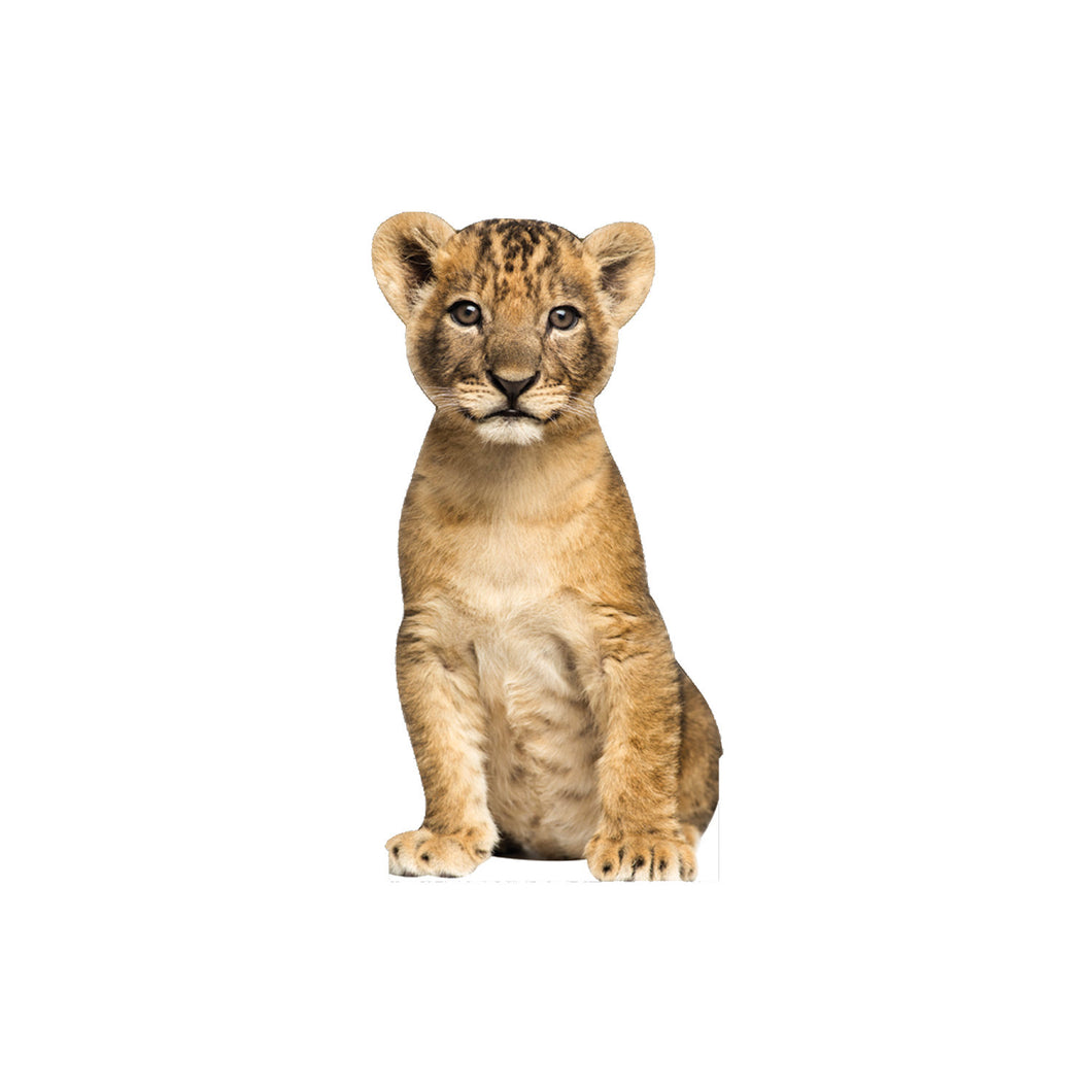 Lion Cub Animal Cardboard standup
