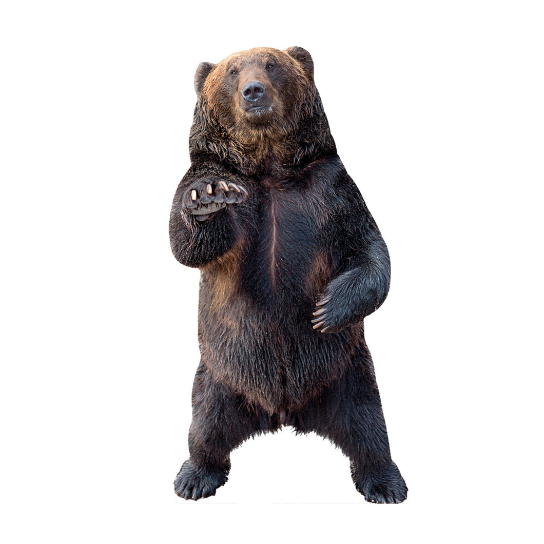 Bear Animal Cardboard standup