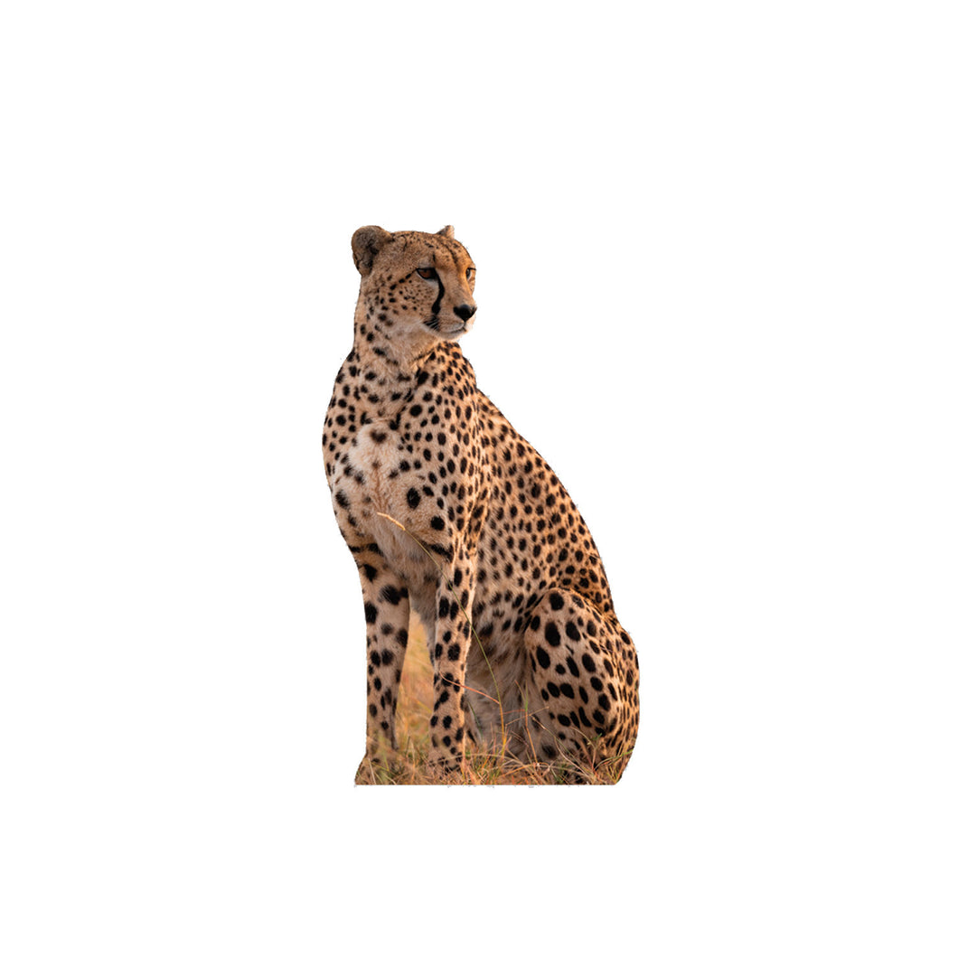 Cheetah Animal Cardboard standup