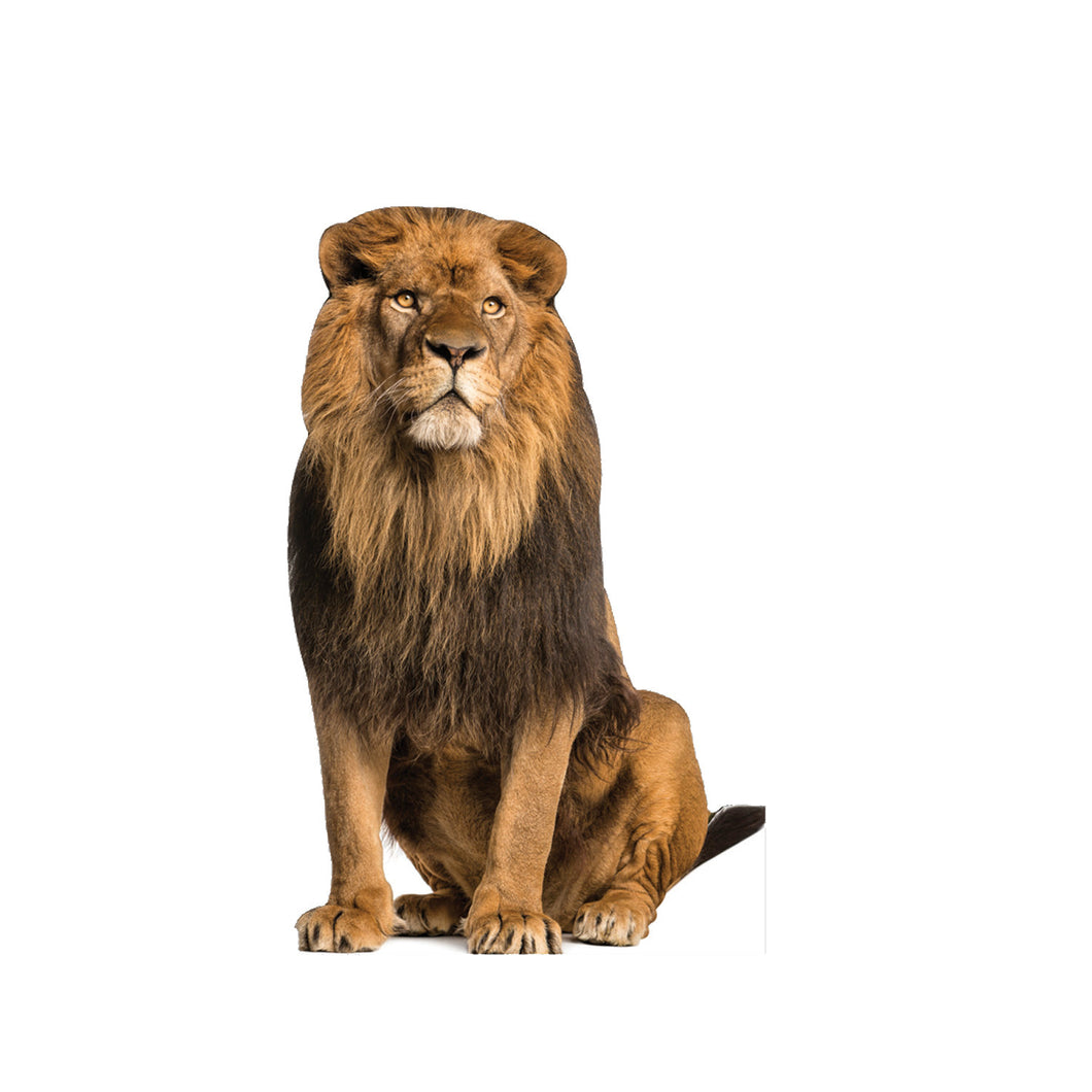 Lion Animal Cardboard standup
