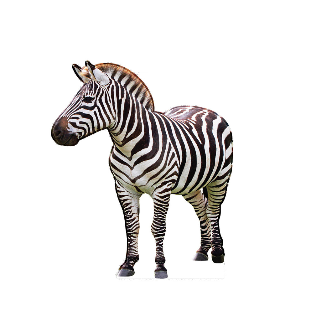  Zebra Animal Cardboard standup