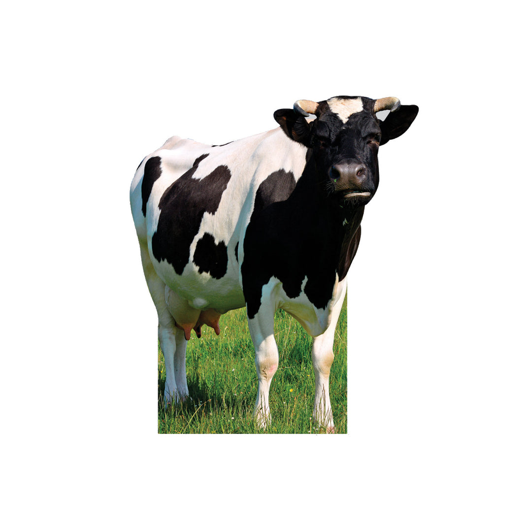 Cow Animal Cardboard standup