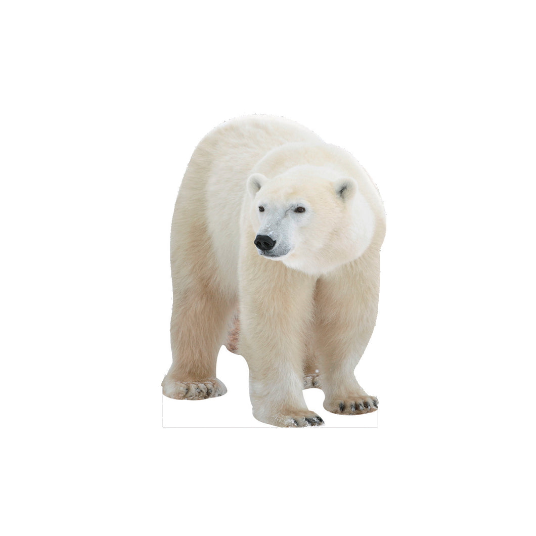Polar Bear Animal Cardboard standup