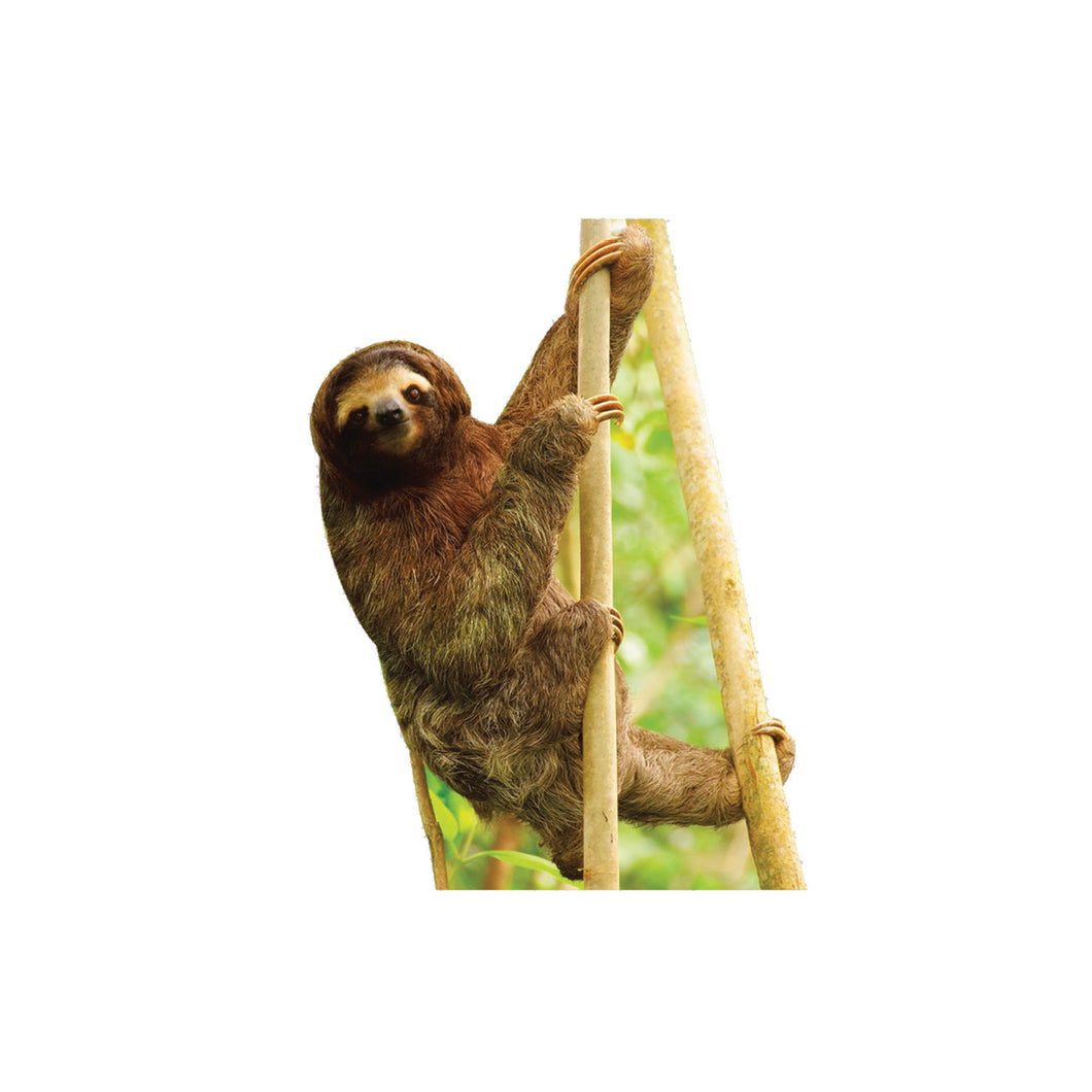 Sloth Animal Cardboard Standup