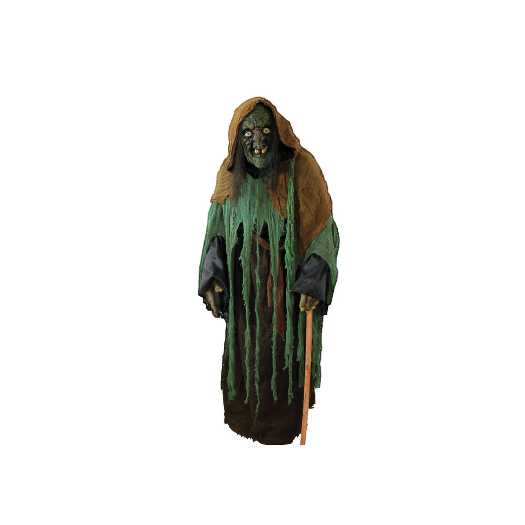 Green Withc Hag Cardboard Standup,6 Ft